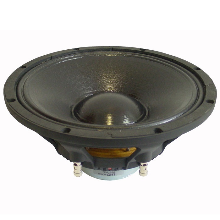 12 inch speaker 300 watt